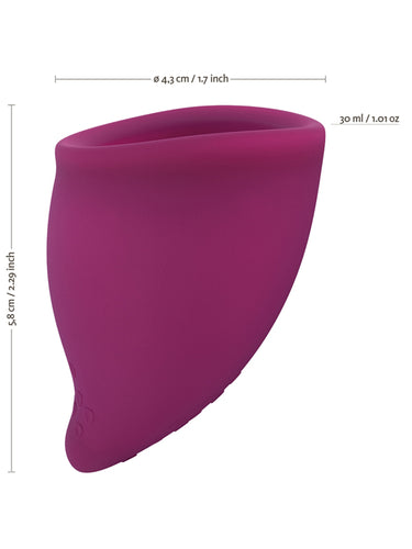 Fun Factory Fun Cup Menstrual Cup Size B Grape